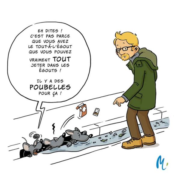 le-tout-a-legout-graie le-tout-a-legout-graie
